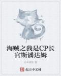 海贼之我是CP长官斯潘达姆